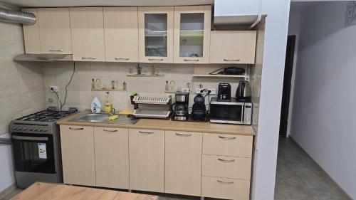 Apartament Gradina Botanica PREMIUM in Craiovita Noua