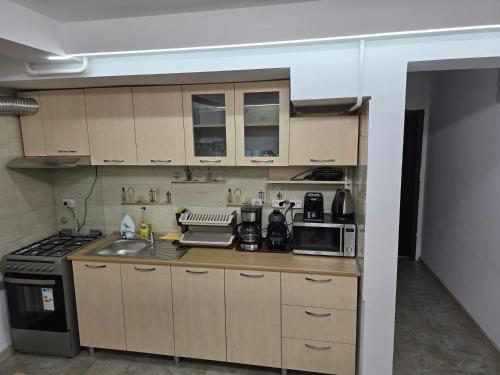 Apartament Gradina Botanica PREMIUM in Craiovita Noua