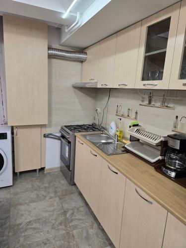 Apartament Gradina Botanica PREMIUM in Craiovita Noua