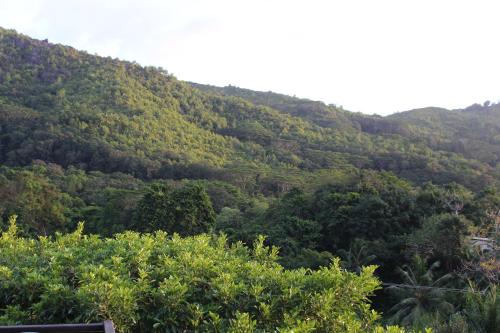 سكن ستيفنا سكن ستيفنا