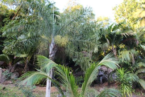 سكن ستيفنا سكن ستيفنا