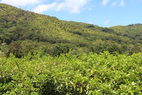 سكن ستيفنا سكن ستيفنا