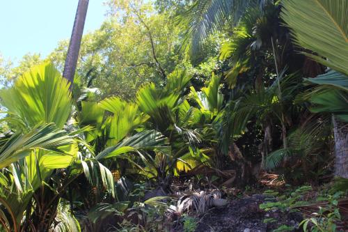 سكن ستيفنا سكن ستيفنا