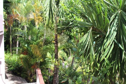 سكن ستيفنا سكن ستيفنا