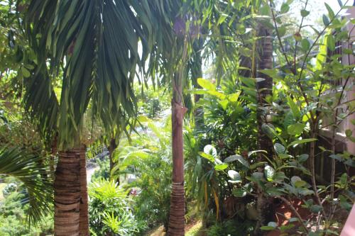 سكن ستيفنا سكن ستيفنا