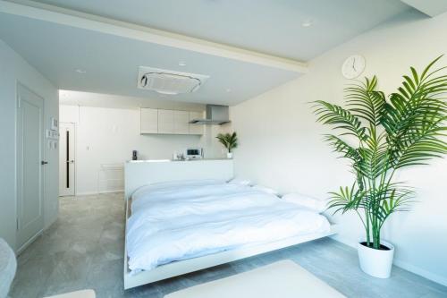 波音テラス天草