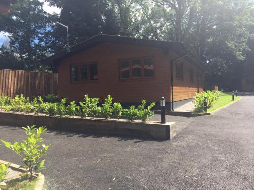 Shellow Lane Lodges