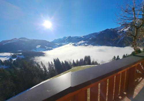 Grasreithof in Großarl, Österreich