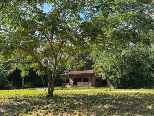 บ้านเหนือนำ - a home of neua in Pha Sing