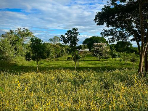 บ้านเหนือนำ - a home of neua in Pha Sing