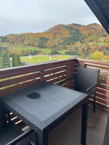 Wohnung am Attersee in Steinbaha Atersē