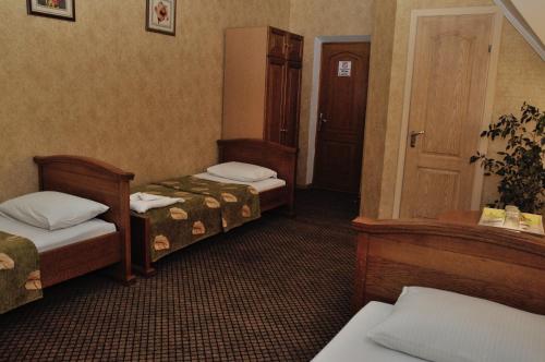 Zolota Pidkova - image 8