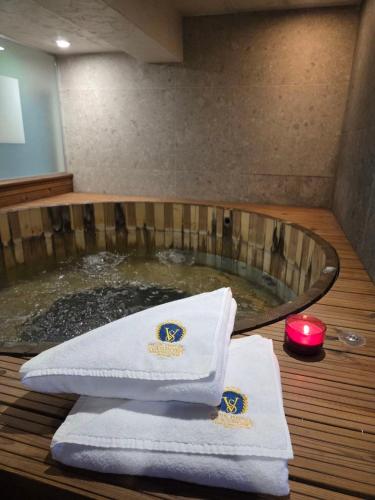 Park Hotel Viasport in Gorni Dabnik