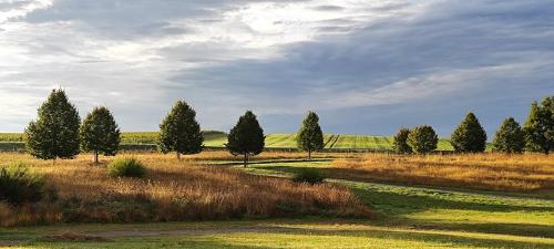 Surrounding environment, Domaine equestre de la Chenaie in Saint-Hilaire-Saint-Florent