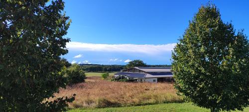 Domaine equestre de la Chenaie in Saint-Hilaire-Saint-Florent