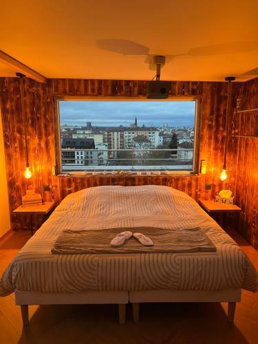Chalet sur le toit de Strasbourg SPA Cinéma