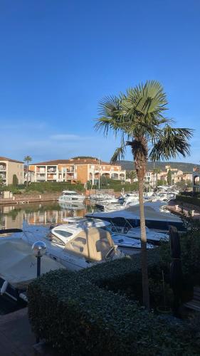 Studio coco - Location saisonnière - Cogolin