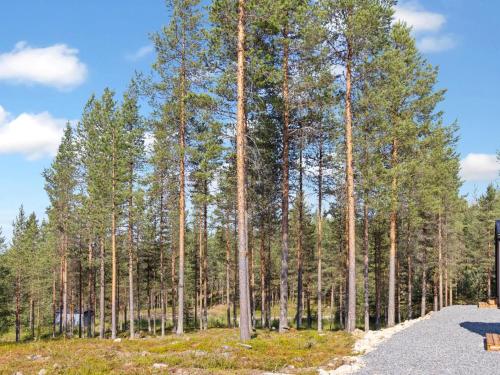 Holiday Home Visit pyhä cabins h by Interhome (Holiday Home Visit pyha cabins h by Interhome) in Пиатунтури