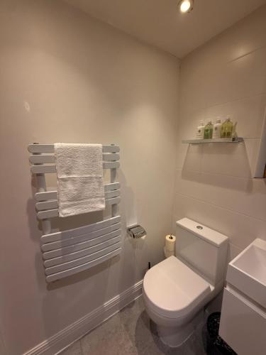 Historic Holborn meets Modern 1 BR flat. - image 9