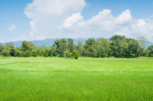 Tum Baan Suan ตุ่มบ้านสวน – Chanthaburi, VA