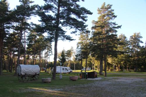 Tehumardi Camping - main image