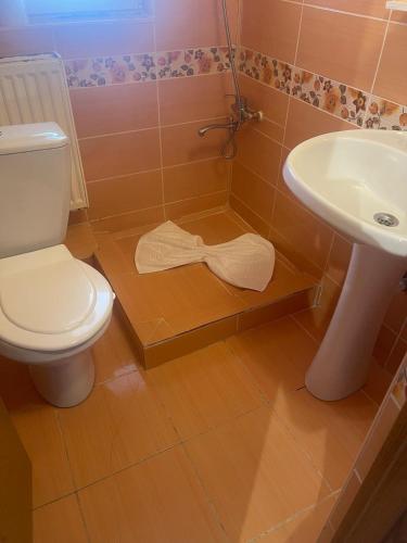 Баня, Casa Aura Ranca in Şoarş