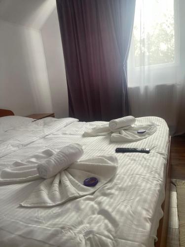 Casa Aura Ranca in Şoarş