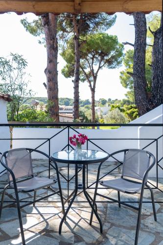 Villa Nikos Koukounaries 4