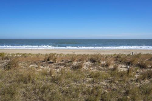 Barefoot Country 407 - Riptide - image 2