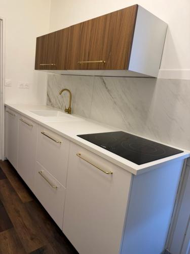 Appart - Location saisonnière - Hoenheim