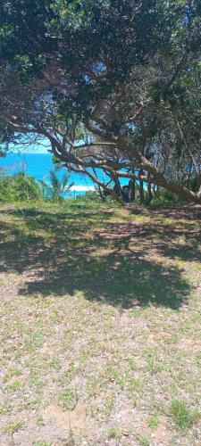 Crystal waters at momoli in I. Chavane