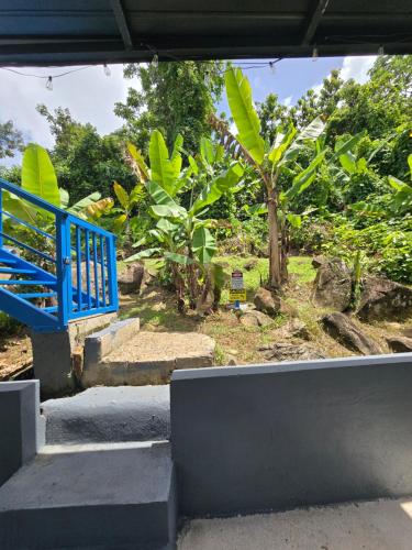 Градина, RiverHouse Luquillo in Лукийо
