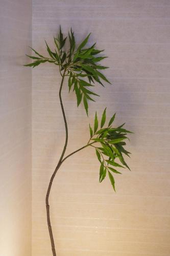 Thresora East Tokorozawa 池袋新宿アクセス良好 隠れ家一軒家