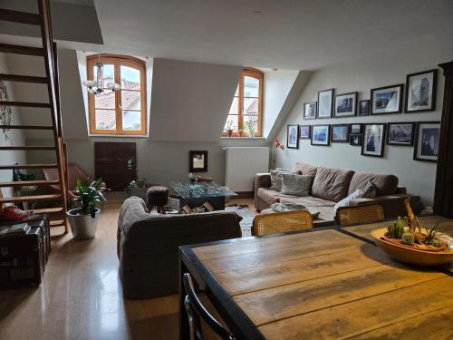 Charmant Duplex Centre ville - Location saisonnière - Colmar