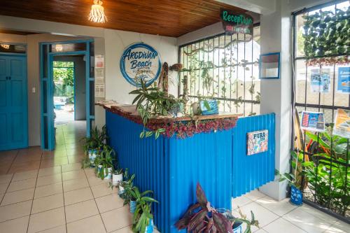 Vestíbulo, Argdivan Beach Hostel in Samara