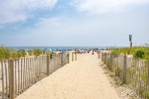 Barefoot Country 404 - Serenity Now - image 5