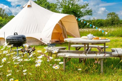 Red Clover at Blancas Bell Tents, Ringstead