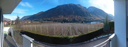 Kilátás, Holiday Valdisole in Croviana