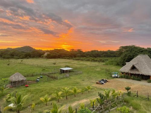 zahrada, Finca Buena Vida Hostel in El Limon