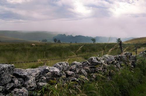 Confort et modernite au cœur de l'Aubrac in Laguiole
