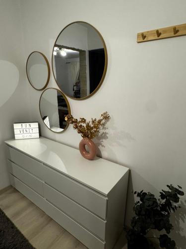 Cozy Central Studio in Aninoasa