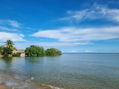 ชายหาด, Hostal nido tortuga in โกเวนัส