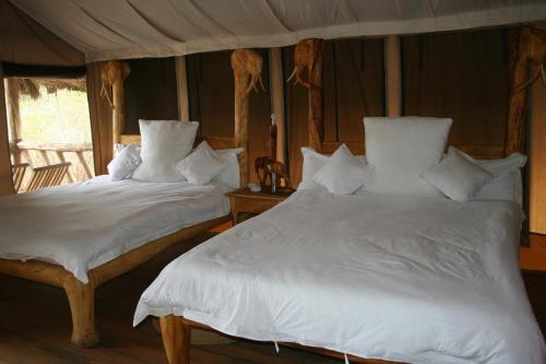 Roika Tarangire Tented Lodge