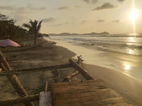 Manglar escondido in Mompiche