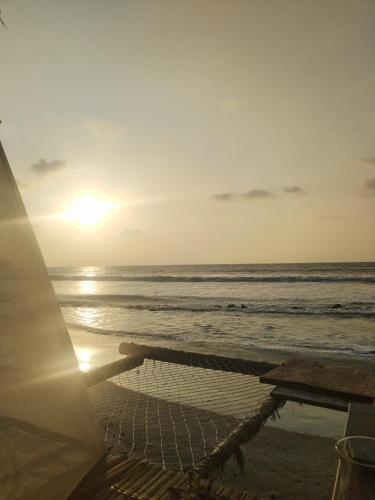 Manglar escondido in Mompiche