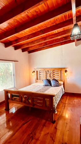 La casa del arbol