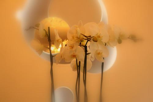 Hôtel Lumières Montmartre Paris - image 6