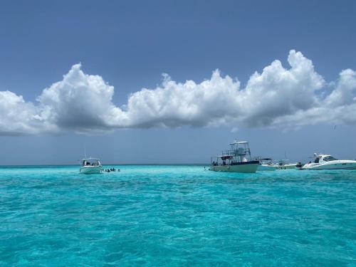 Resort chic on the water! in Key West (FL)