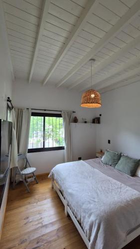 Casa para 5- Apta mascotas - Luz y tranquilidad in Mar De Las Pampas
