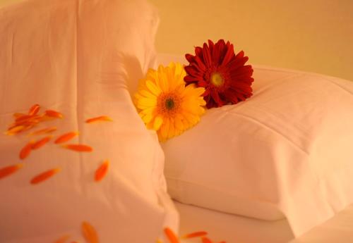 Hotel Etrusco